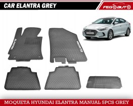 CAR ELANTRA GREY